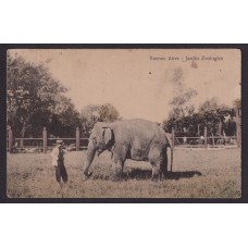 CIUDAD DE BUENOS AIRES ELEFANTE EN EL JARDIN ZOOLOGICO ANTIGUA TARJETA POSTAL